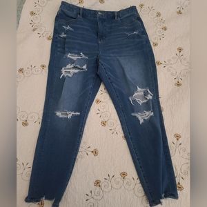 American Eagle Hi-Rise Curvy Jegging Crop